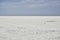 Landscape of a deserted salt lake. The texture of salt formations in the foreground. salt lake surface, dry salt lake, white salt