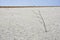 Landscape of a deserted salt lake. The texture of salt formations in the foreground. salt lake surface, dry salt lake, white salt