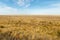 Landscape of the deserted steppe. Kazakhstan