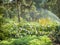 Landscape design, beautiful Park with flowers and conifers, Kotka, Park Isopuisto, Finland. Automatic plant watering system