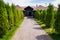 landscape design of a country house. path lined with tiles, tui grow along