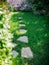 Landscape design with flower beds and path, natural landscaping panorama in garden