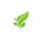 Landscape design, garden, Plant, nature and ecology vector logo.
