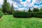 Landscape design green lawn with hedge boxwood.