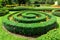 Landscape design hedge of boxwood spiraling.