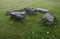 Landscape design, six large stones on a field