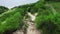 Landscape of a destroyed road leading to the ocean with growing green plants behind the precipice