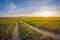 Landscape dirt road in a sowing field at sunset