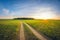 Landscape dirt road in a sowing field at sunset