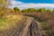 Landscape with dirty earth road on the edge of sunflower field