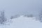 Landscape disappears into fog of a snow veil on a winter on top of hill