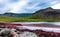 Landscape from a distant land - Iceland