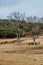 Landscape dolmen burial chambers at neolithic park