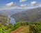 Landscape in the Douro region, Portugal