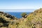 Landscape with  drago tree on La Palma, canary islands, spain