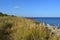 Landscape with dry herbs on the bank of Volga river, new bridge on the horizon and blue sky in september