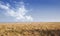 Landscape of a dry open field by the sea in the East coast of Kattegat, Jutland, near Mariager fjord, Denmark showing