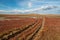 Landscape of a dry salt lake with red Salicornia plants