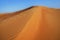 Landscape of dunes background