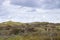 Landscape with dunes under a clouded sky, national park Meijendel