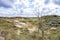 Landscape with dunes under a clouded sky, national park Meijendel