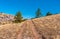 Landscape with earth road on Babuhan Yaila natural reserve in Crimea