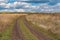 Landscape with an earth road between maize and sunflower fields