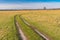 Landscape with an earth road through water meadow in rural area near Mala Rublivka village in Poltavskaya oblast, Ukraine