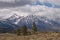 Landscape Eastern Sierra