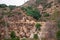 Landscape of Eaton Canyon hiking mountains trails with wild plants under gray sky