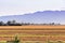 Landscape in Ebro Delta nature park, Tarragona, Catalunya, Spain. Copy space for text.