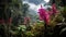 landscape ecuadorian cloud forest
