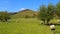 Landscape in Edale, Northern England