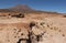 Landscape of Eduardo Avaroa Andean Fauna Reserve