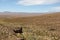 Landscape of Eduardo Avaroa Andean Fauna Reserve