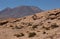 Landscape of Eduardo Avaroa Andean Fauna Reserve