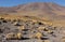 Landscape of Eduardo Avaroa Andean Fauna Reserve