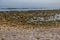 landscape empty rocky beach on a cloudy day spain