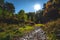 Landscape: fall mountains with brook