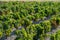 Landscape with famous sherry wine grape vineyards in Andalusia, Spain, sweet pedro ximenez or muscat, or palomino grape ready to