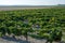 Landscape with famous sherry wine grape vineyards in Andalusia, Spain, sweet pedro ximenez or muscat, or palomino grape ready to