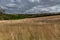 Landscape of farm fields and dirt road ideal for active recreation in Borgloon, Belgium