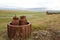 Landscape on farm in Iceland