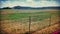 Landscape farming life karoo dry