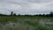 Landscape farming sky cloudy