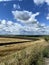 Landscape. Farmland against the blue sky with white clouds.