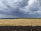 Landscape. Farmland on the background of the cloudy sky.