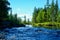 Landscape with fast river, pine green forest and blue sky