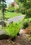 Landscape Features with Grass Rocks Ferns and Other Trees