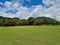 Landscape featuring a green meadow with trees and blue sky